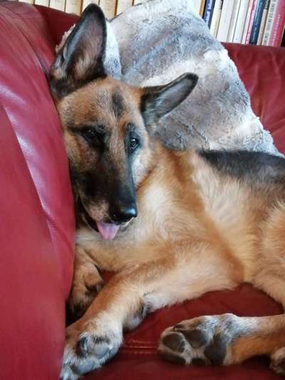 11. Farben Foto Challenge Rot-Beitrag-Bild