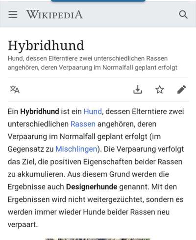 Hybridhunde-Beitrag-Bild