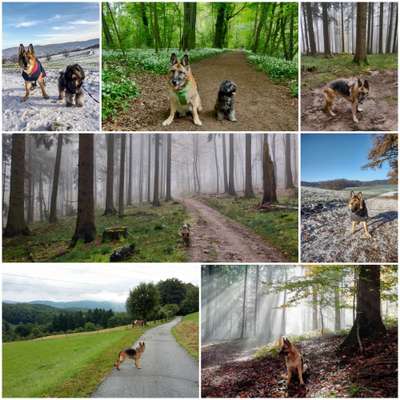 30. Collagen Challenge - Wege/Straßen-Beitrag-Bild