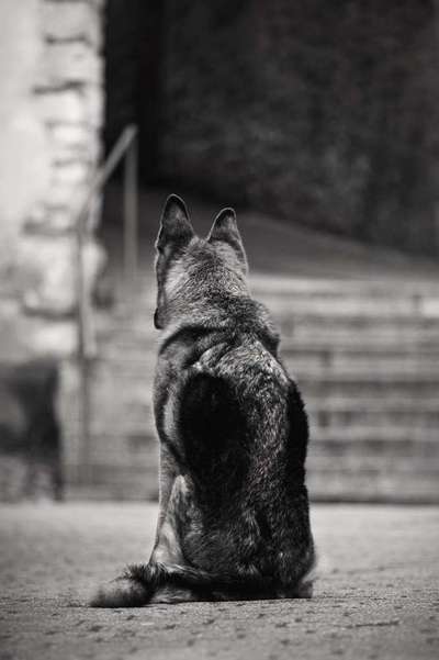 3. Farben/Fotochallenge: Schwarz/Weiß-Beitrag-Bild