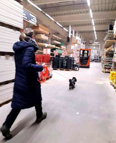 41. Handy Fotochallenge - Euer gemeinsames Hobby-Beitrag-Bild