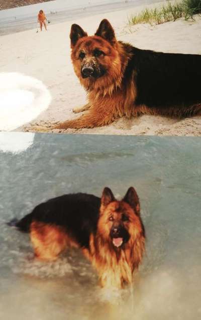 Unsere Sternchen ******-Beitrag-Bild