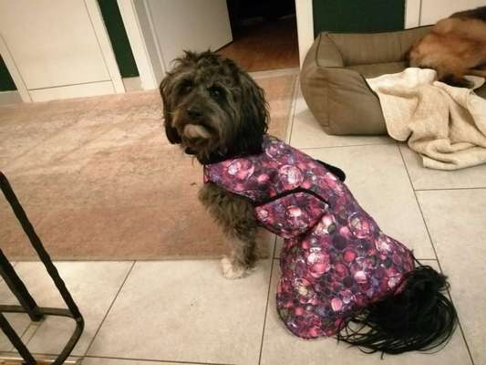 Pullis, Jacken, Hütte und alles sonstiges-Beitrag-Bild