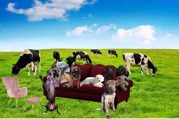 Freundschaftsanfragen-Beitrag-Bild