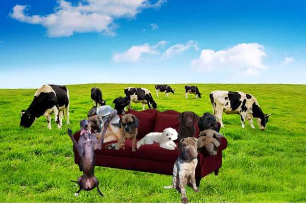 Freundschaftsanfragen-Beitrag-Bild