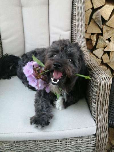 Fotochallenge Nr. 64-Beitrag-Bild