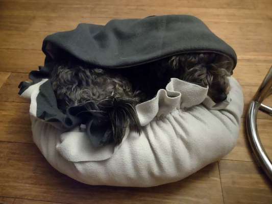 Upcycling - aus Alt mach Neu-Beitrag-Bild