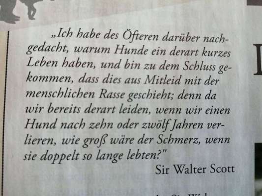 Unsere Sternchen ******-Beitrag-Bild