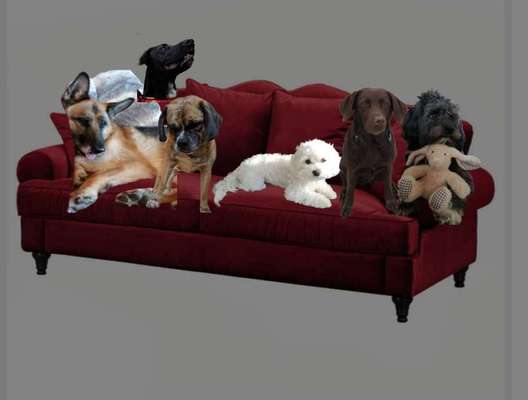 Freundschaftsanfragen-Beitrag-Bild