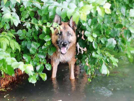 Farben Fotochallenge Thema ,,Grün"-Beitrag-Bild