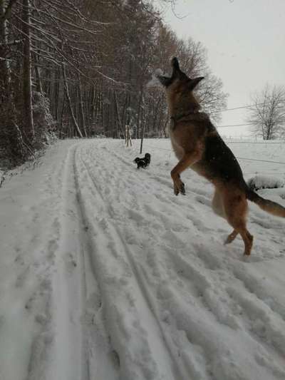 Challenge Nr. 15
Spiel im Schnee-Beitrag-Bild