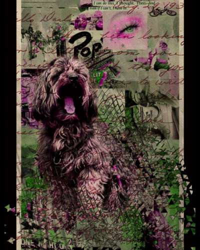 Photoshop und Co.-Beitrag-Bild