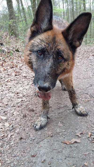 Erzählt eure Erfolgsstorys!-Beitrag-Bild