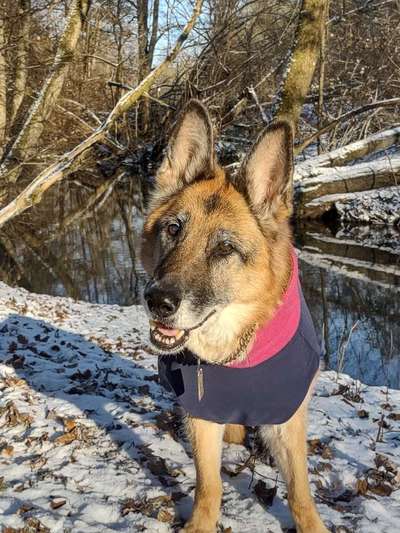 10. Farben Foto-Challenge ---- Blau-Beitrag-Bild