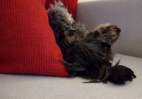 11. Farben Foto Challenge Rot-Beitrag-Bild