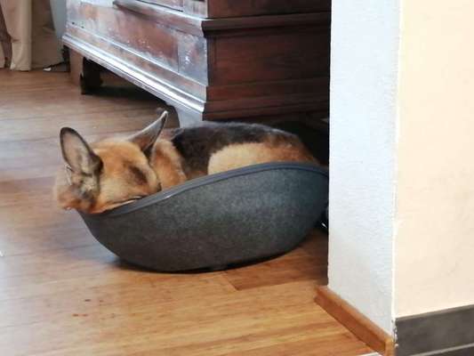 Fotochallange - Eingekugelt-Beitrag-Bild