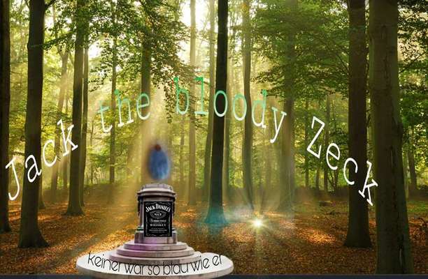 Wer kennt dieses Tier?-Beitrag-Bild