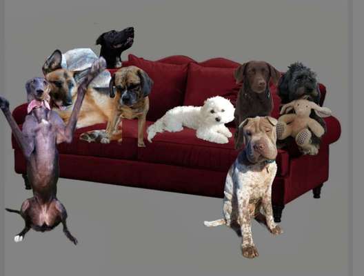 Freundschaftsanfragen-Beitrag-Bild