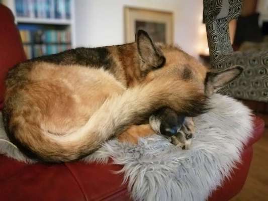 Foto Challenge Nr. 134-Beitrag-Bild