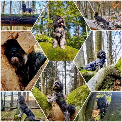 Fotos &Collagen: Beobachtungsposten-Beitrag-Bild