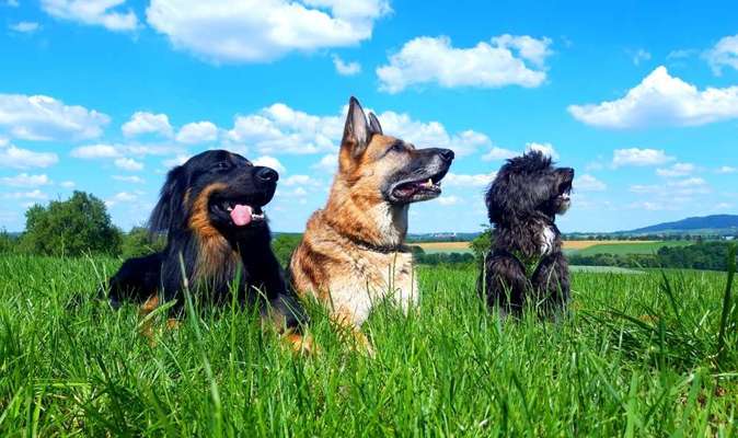 Handy-Foto-Challange Nr. 8-Beitrag-Bild