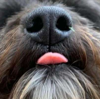 42. Handy Fotochallenge - Den richtigen Riecher haben-Beitrag-Bild