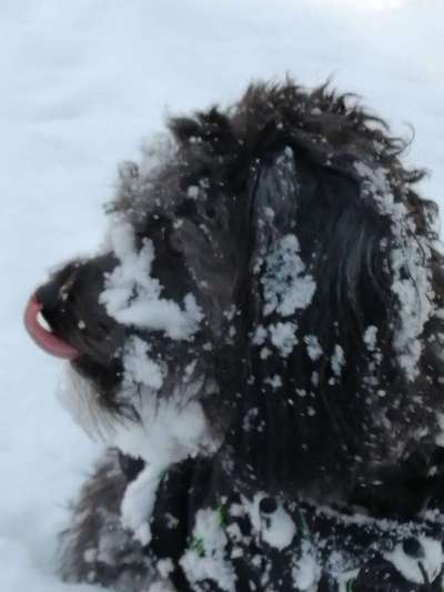 Pullis, Jacken, Hütte und alles sonstiges-Beitrag-Bild