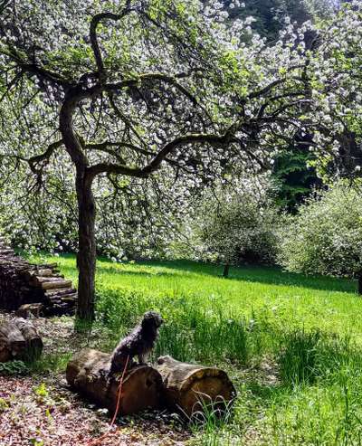 Theos  Fotochallenge Nummer 2-Beitrag-Bild