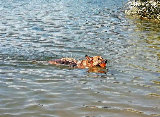 41. Handy Fotochallenge - Euer gemeinsames Hobby-Beitrag-Bild