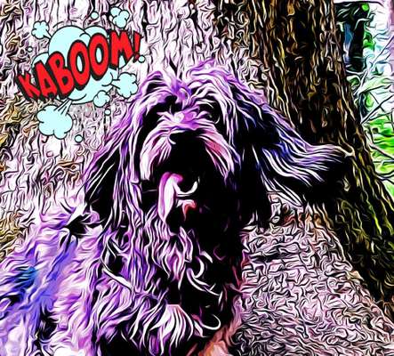 Photoshop und Co.-Beitrag-Bild