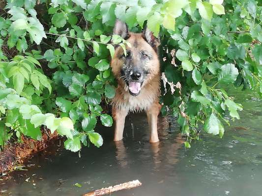 Fotochallenge 27-Beitrag-Bild