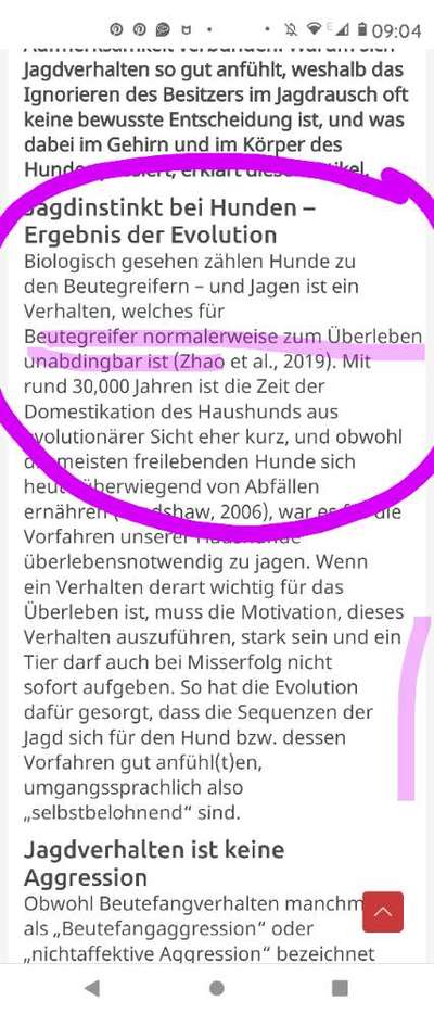 Förderung des Jagdtriebs?-Beitrag-Bild
