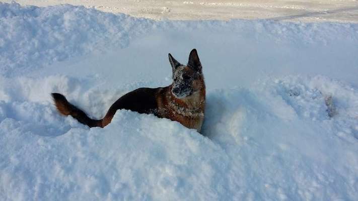 Fotochallenge Nr.105  Glücksmomente-Beitrag-Bild