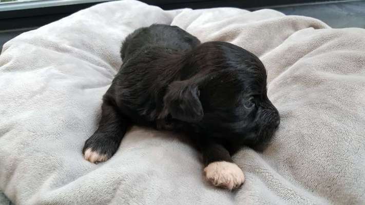 Unser Nachwuchs-Beitrag-Bild