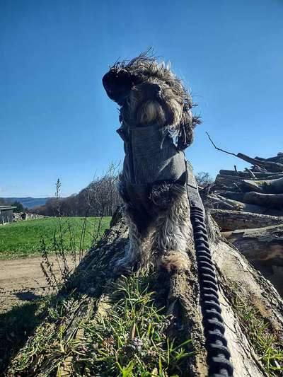 10. Farben Foto-Challenge ---- Blau-Beitrag-Bild