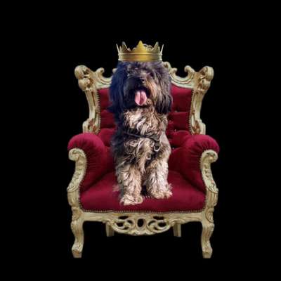 Photoshop und Co.-Beitrag-Bild