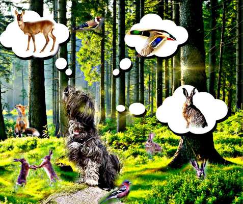 Photoshop und Co.-Beitrag-Bild