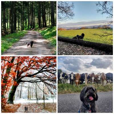 30. Collagen Challenge - Wege/Straßen-Beitrag-Bild