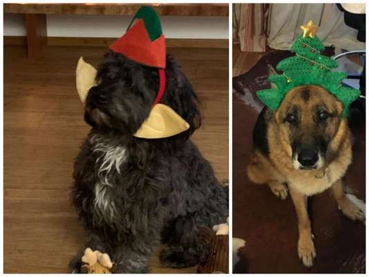 Fotochallenge Nr. 29 - Accessoires-Beitrag-Bild