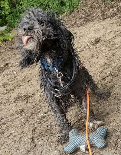 20. Handy -Foto-Callenge-Beitrag-Bild