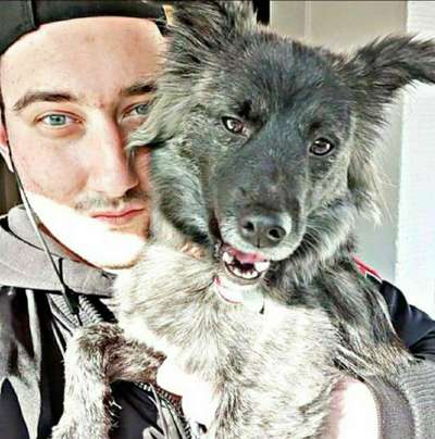 zeigt eure Hunde mit Ihren Frühlingsgefühlen:)-Beitrag-Bild