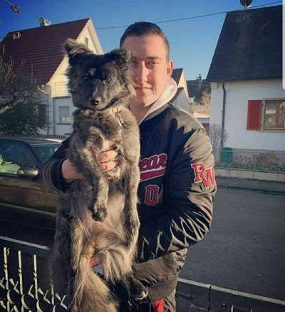 Euer schönstes Bild mit eurem Hund gemeinsam!-Beitrag-Bild