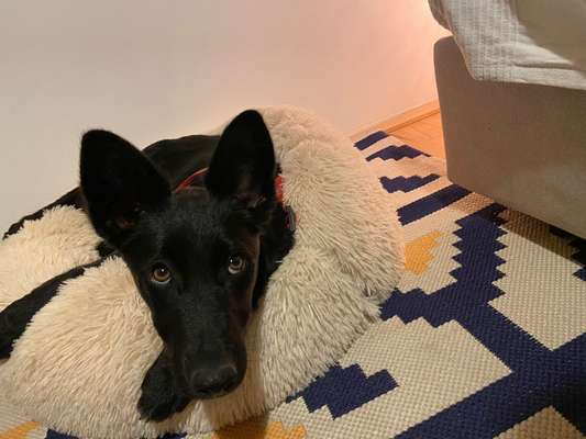 147. Foto Challenge: Bettelblick-Beitrag-Bild