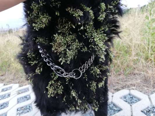 Farben Fotochallenge Thema ,,Grün"-Beitrag-Bild