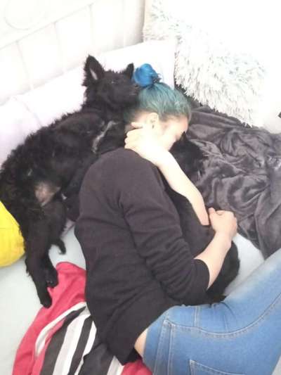 Hund und Katz Momente-Beitrag-Bild