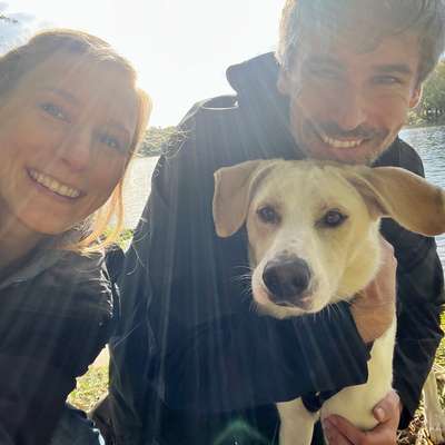 Kennt jemand jemanden...-Beitrag-Bild