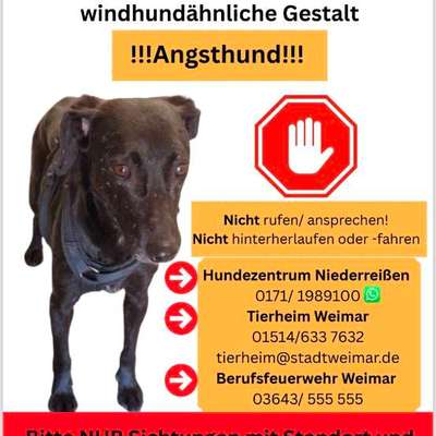 Suchmeldung-Tabea-Bild