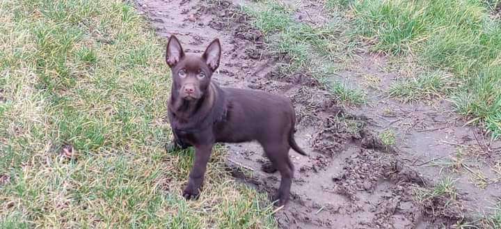 Sie werden so schnell erwachsen ...-Beitrag-Bild