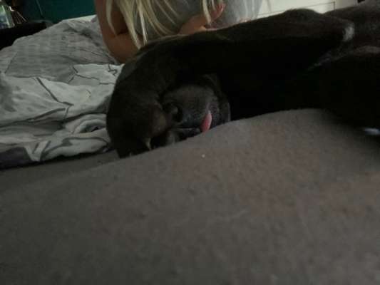 Die unbequemsten und lustigsten Schlafpositionen-Beitrag-Bild