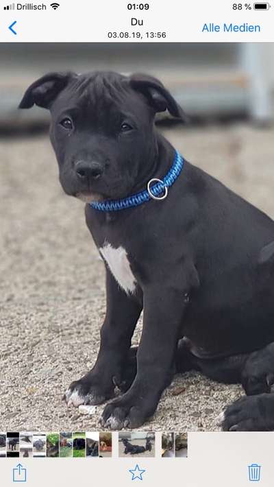 Sie werden so schnell erwachsen ...-Beitrag-Bild